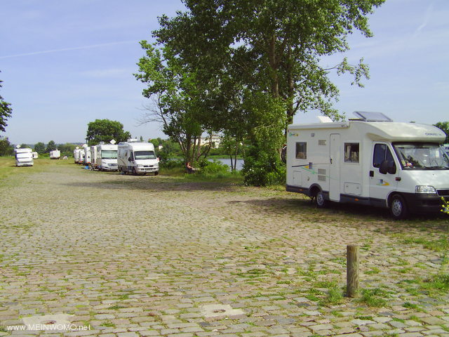  Dresden pitch on the Elbe 