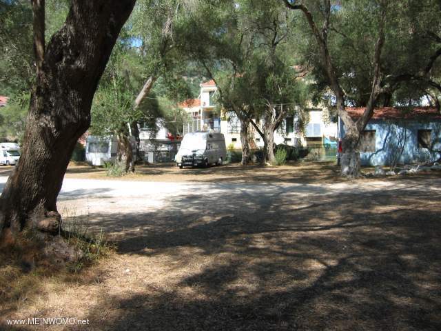  Pitch under olive trees - well-shaded