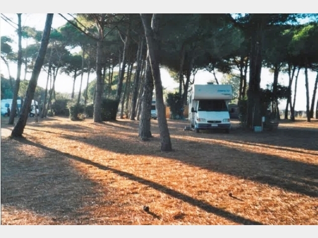  La Pineta parkeringsplats (skuggat omrde)