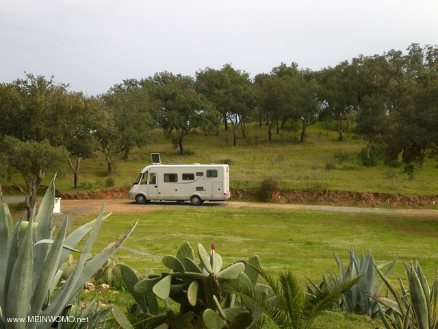  03.04.2011 camping Ourique 011