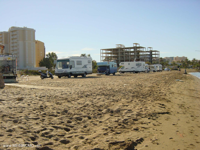  Espagne - Murcia - lieu sur la plage / Mar Menor - Playa Honda / Palmeras