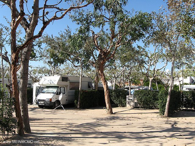  Camping Rio Mar, Oliva (Novembre 2010)